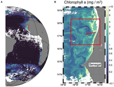 Variability of the Sea Surface Microlayer Across a Filament’s Edge and Potential Influences on Gas Exchange